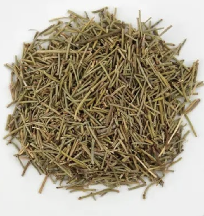 마황 — Ephedra sinica