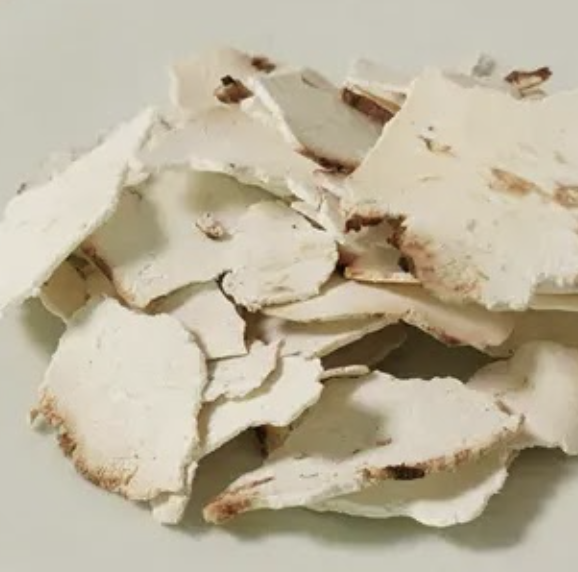 복령 — Poria cocos