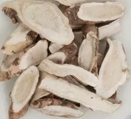 작약 — Paeonia lactiflora