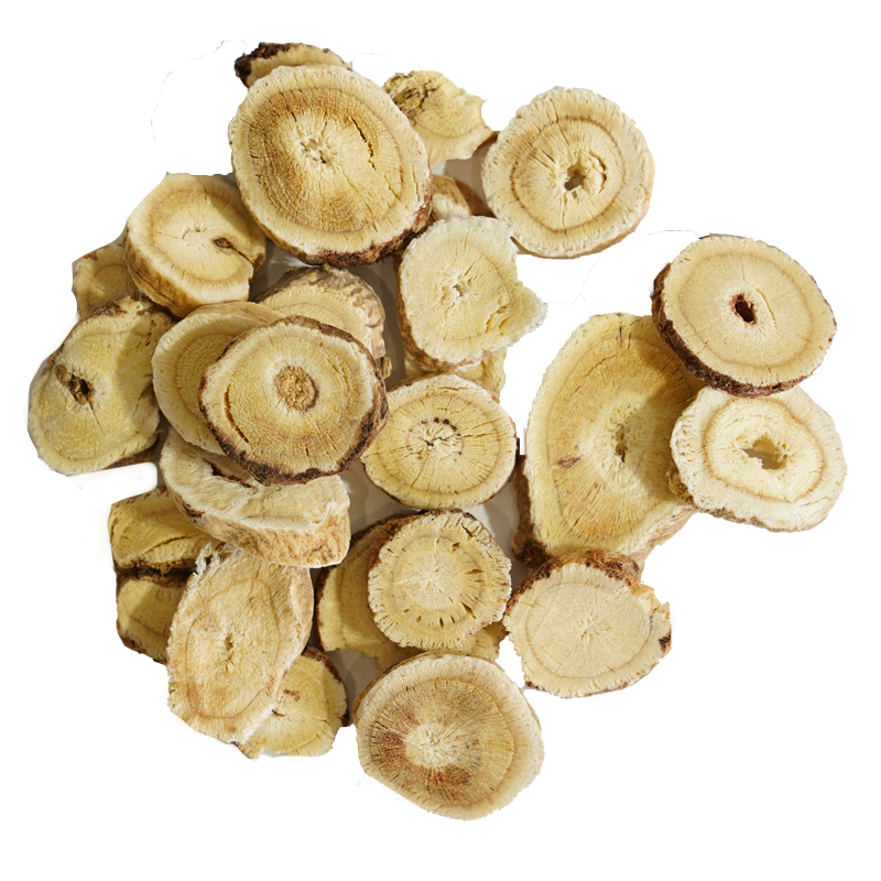 황기 — Astragalus membranaceus